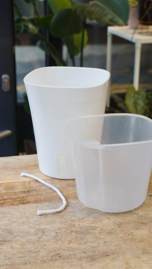 pot semi hydro PON lechuza à réserve d'eau studio plantes jardinerie strasbourg