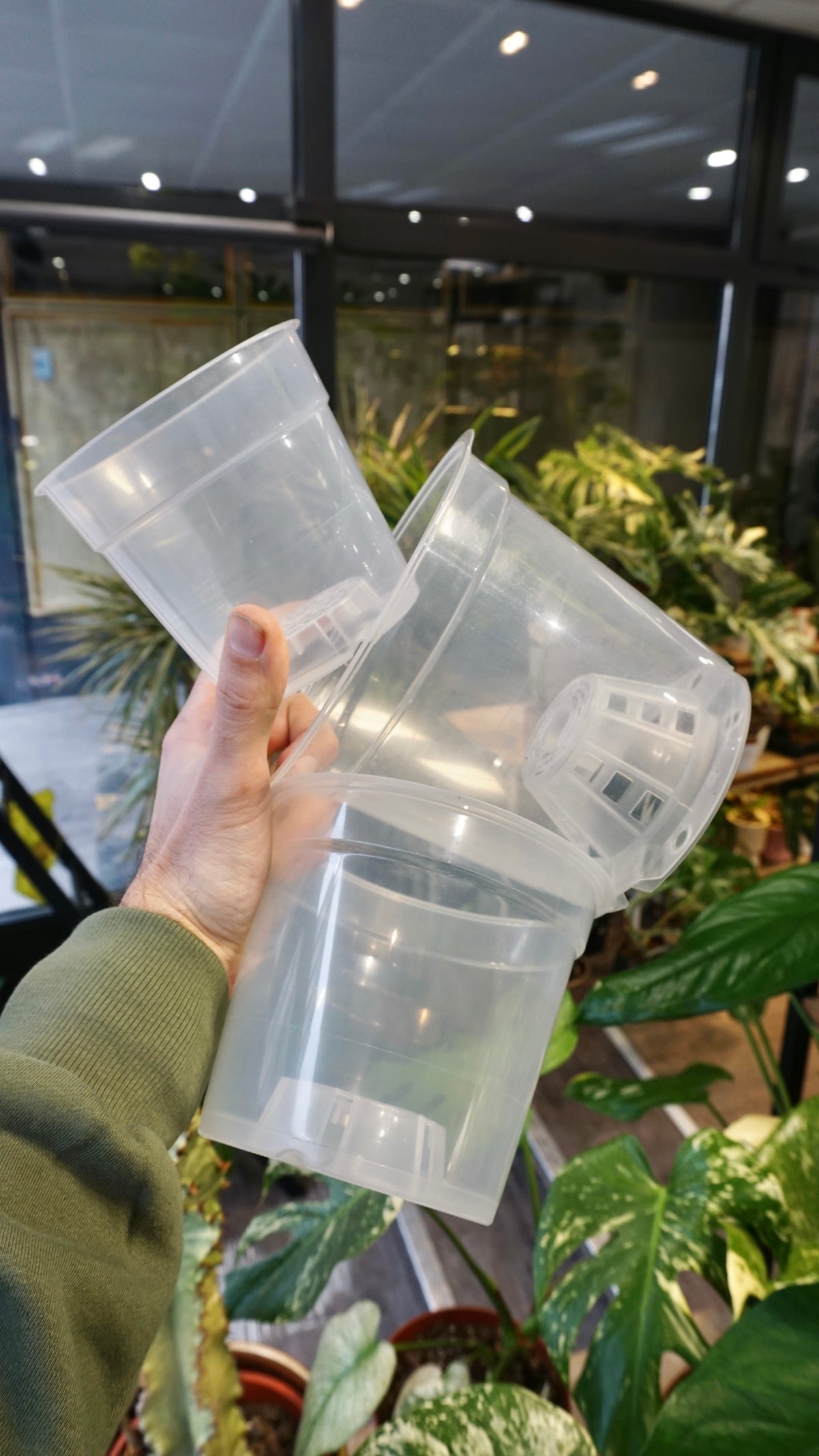Transparent Pots