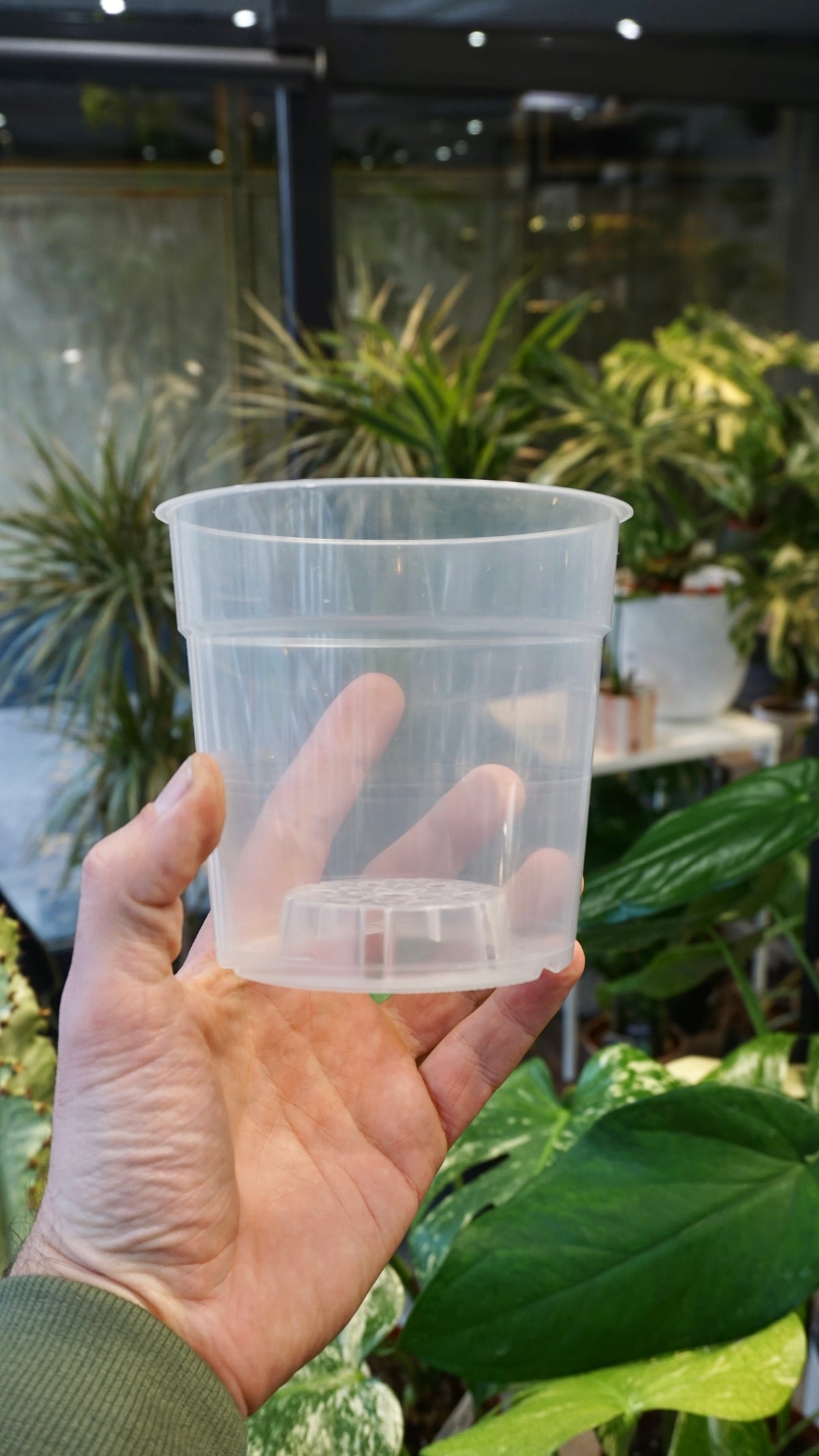 Transparent Pots