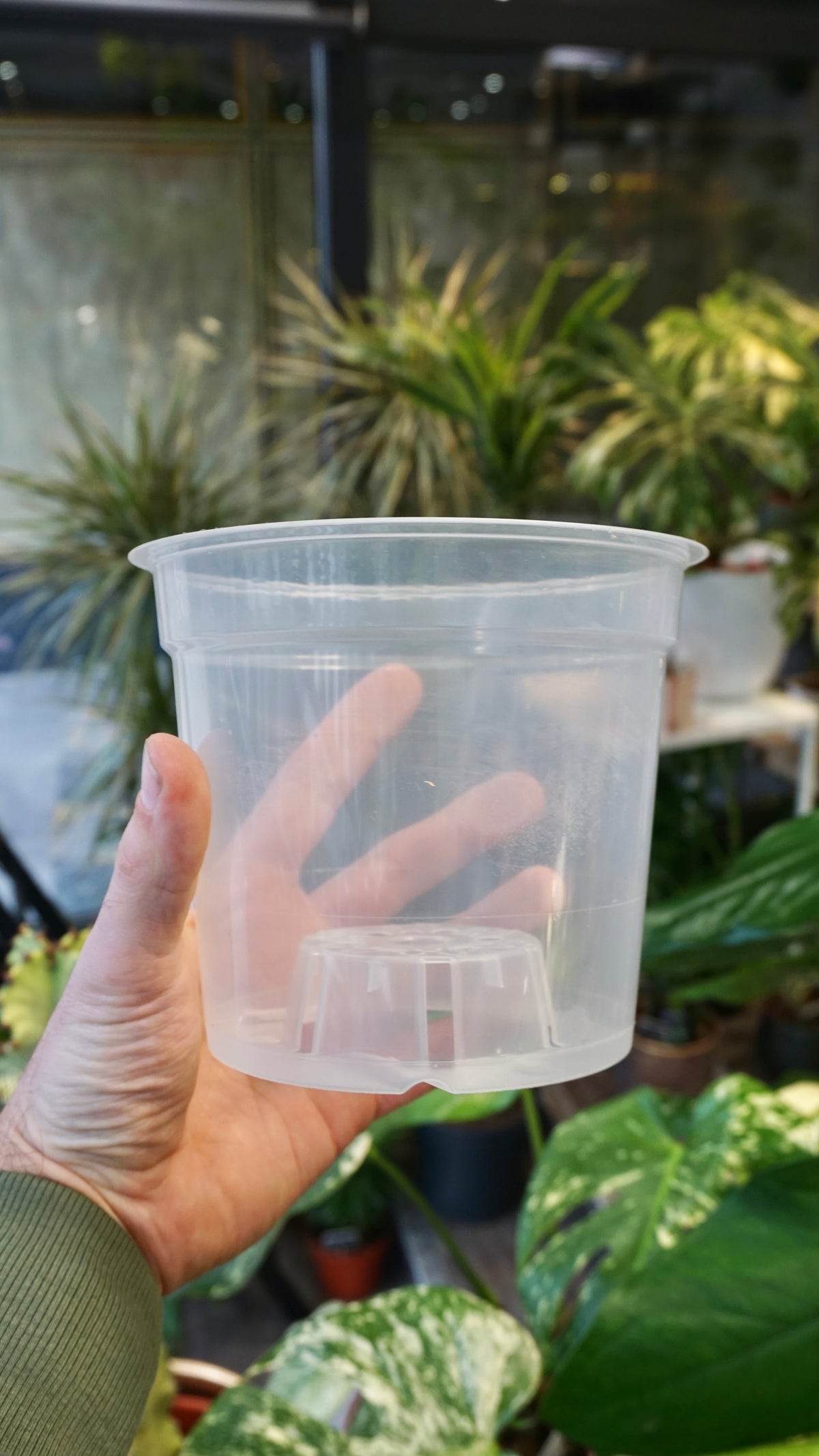 Transparent Pots