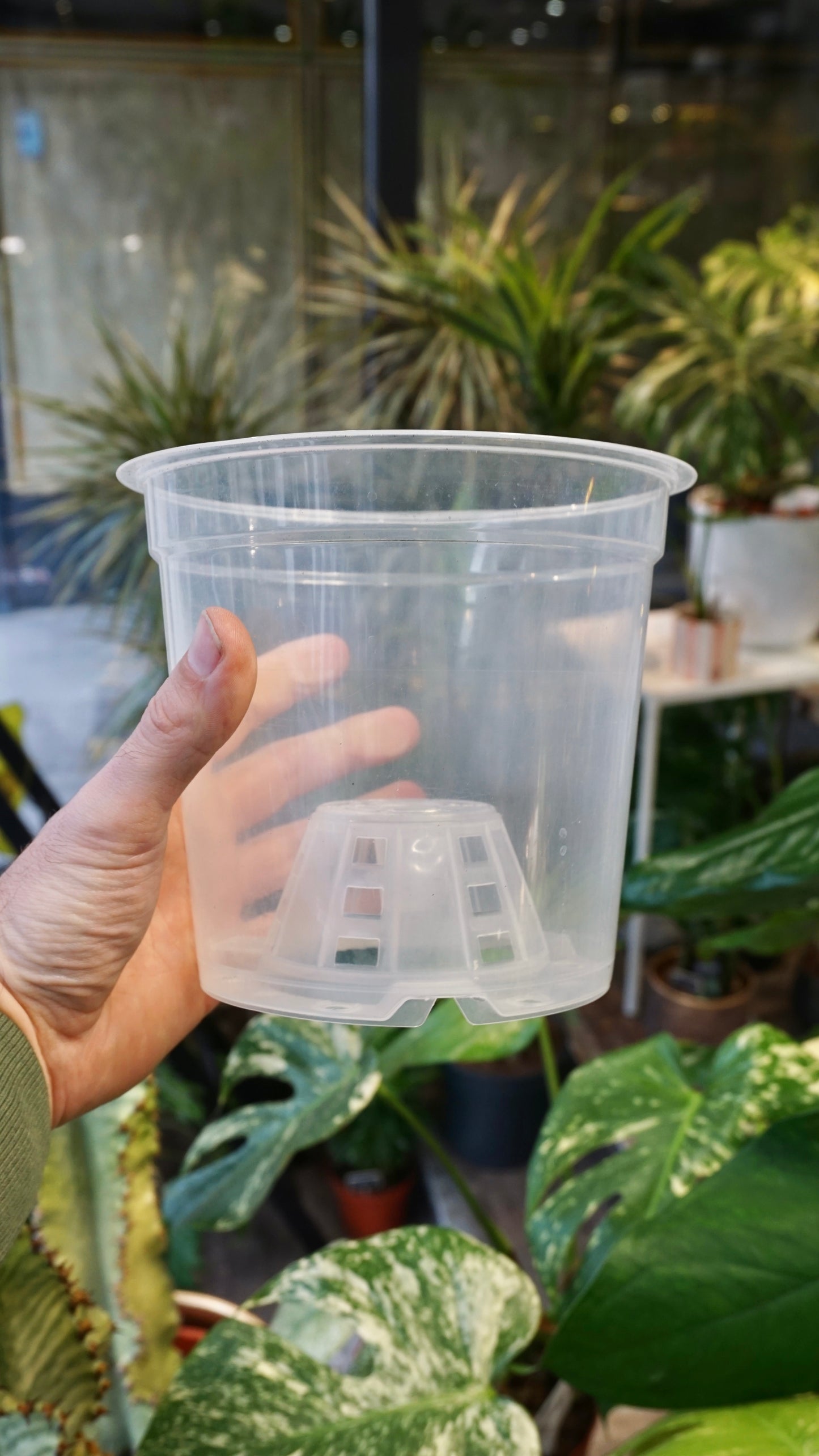 Transparent Pots