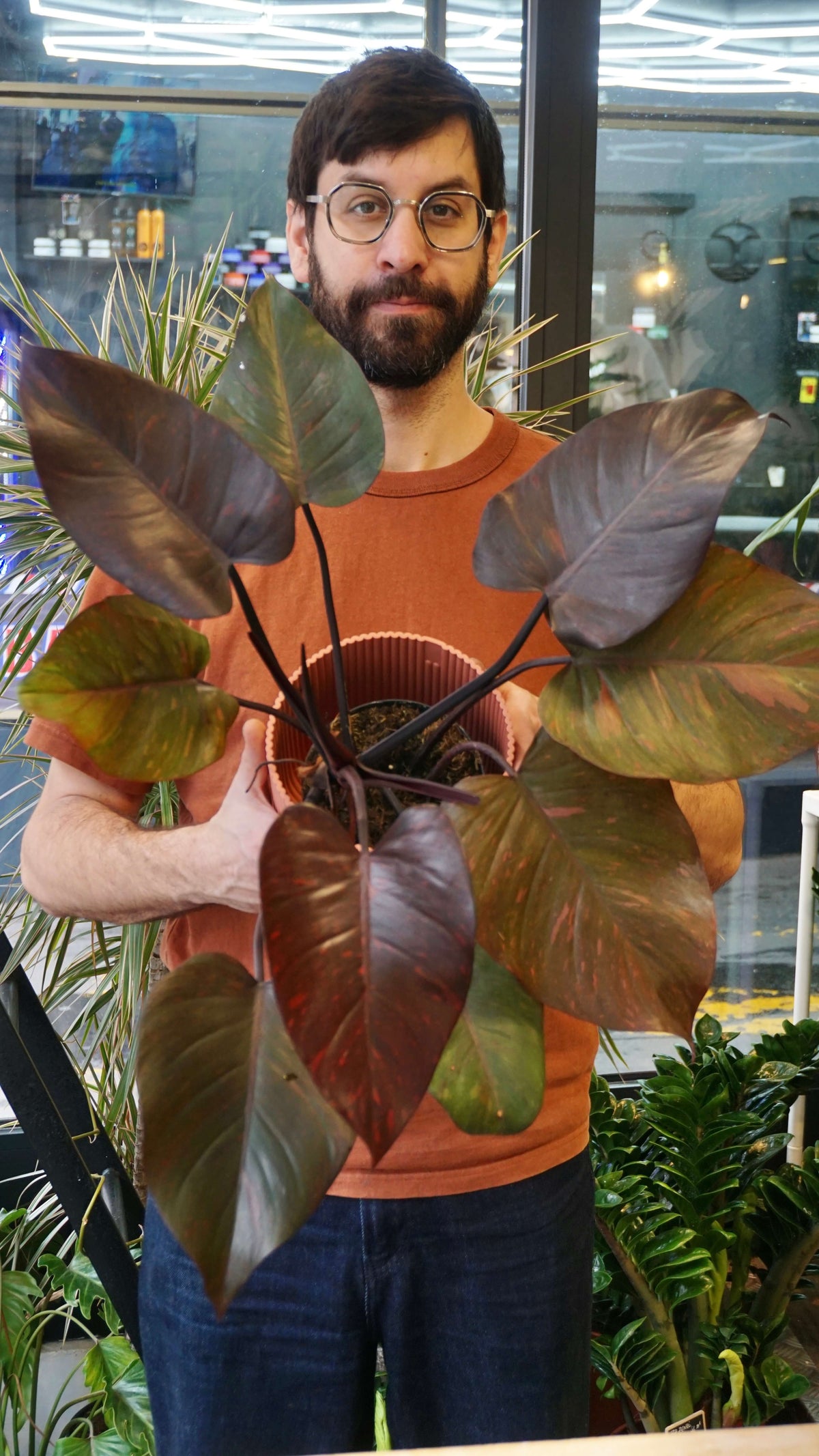 Philodendron Orange Princess studio plantes rares jungle jardinerie strasbourg rare plant shop online pflanzen