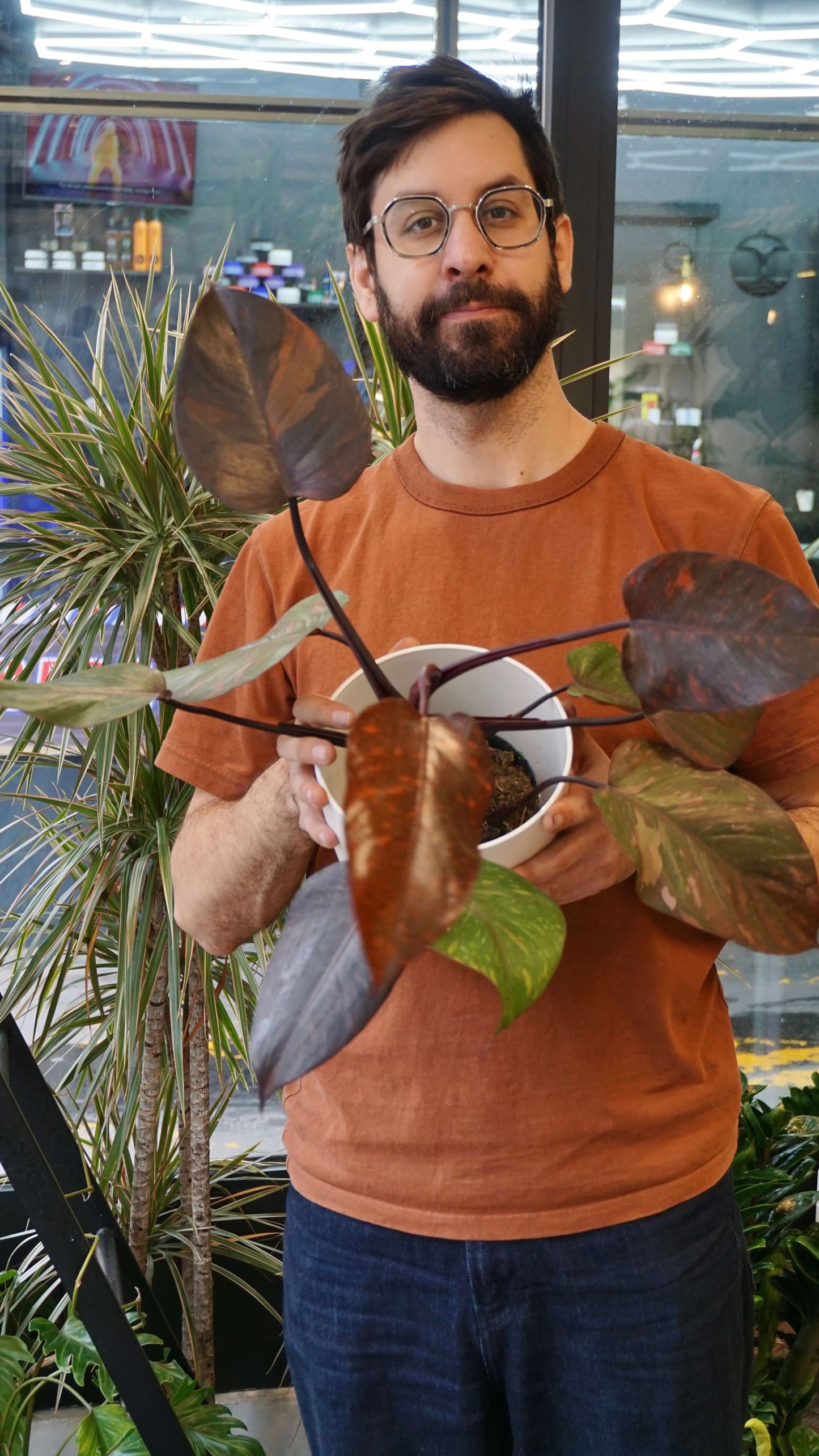 Philodendron Orange Princess studio plantes rares jungle jardinerie strasbourg rare plant shop online pflanzen