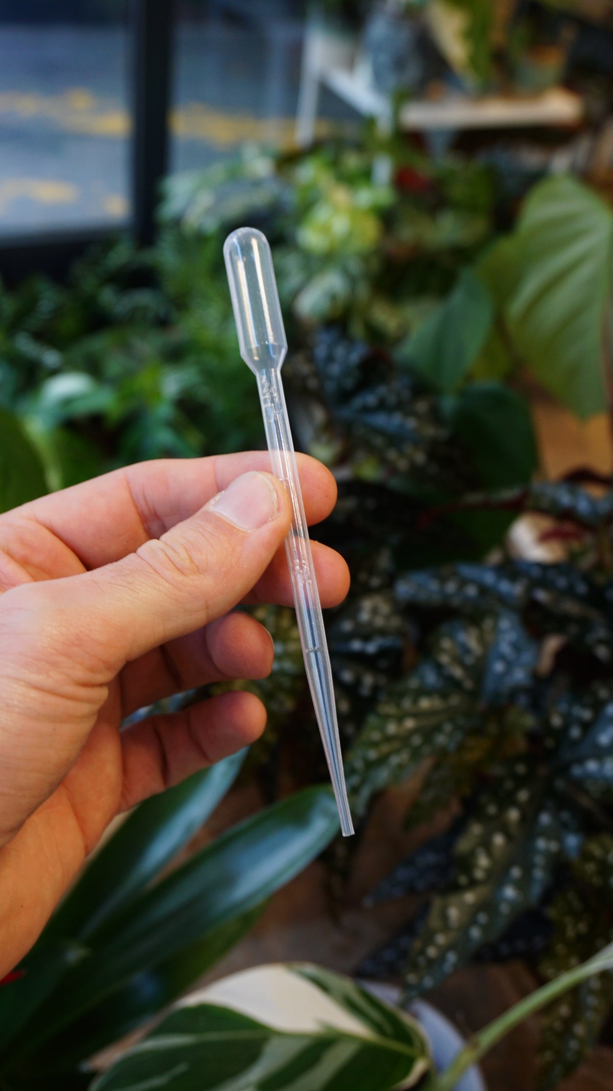 Pipette 2mL