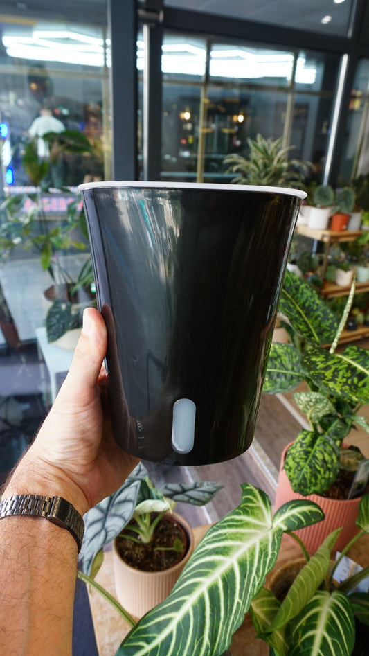 Pots à réserve d'eau (plusieurs tailles)