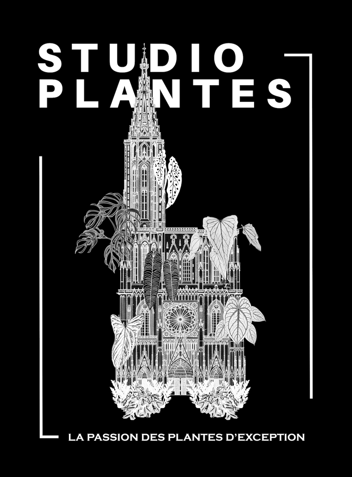 studio plantes tshirt t-shirt plantes collection rare édition limitée cathedrale de strasbourg salvi buratti synder studio