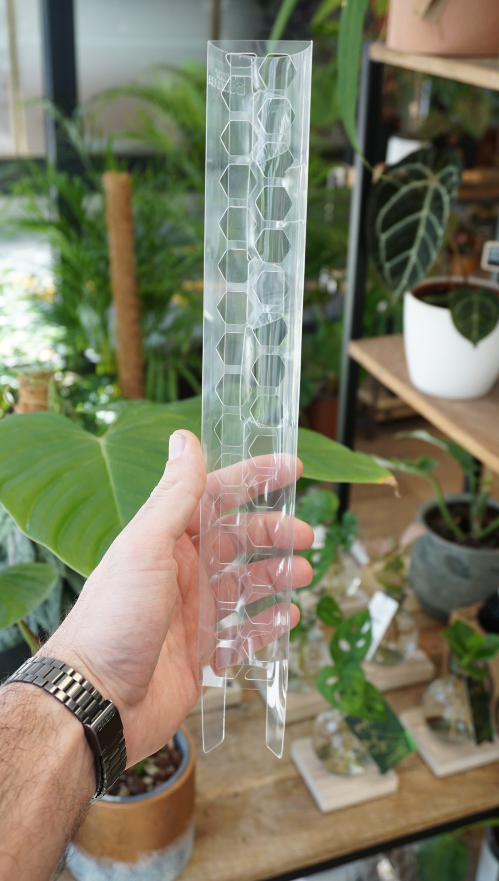 tuteur sphaigne plantscraper studio plantes rares grimpantes monstera strasbourg moss pole sphagnum