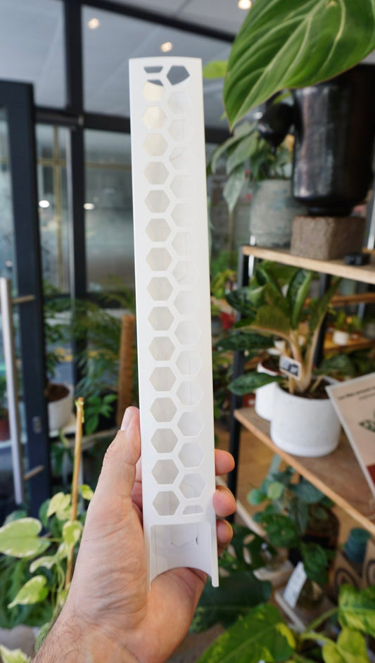 tuteur sphaigne plantscraper studio plantes rares grimpantes monstera strasbourg moss pole sphagnum