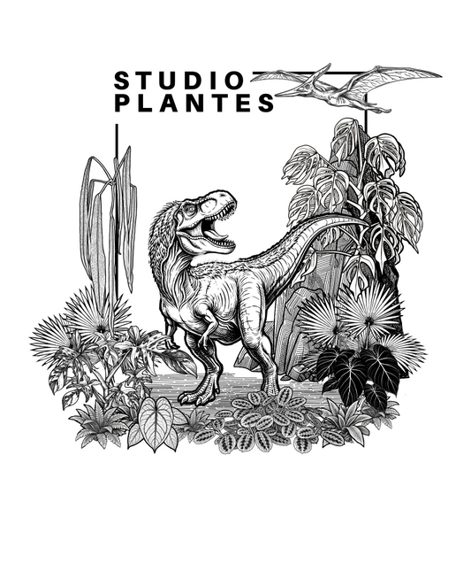 Tshirt Studio Plantes - Édition limitée Dinosaures