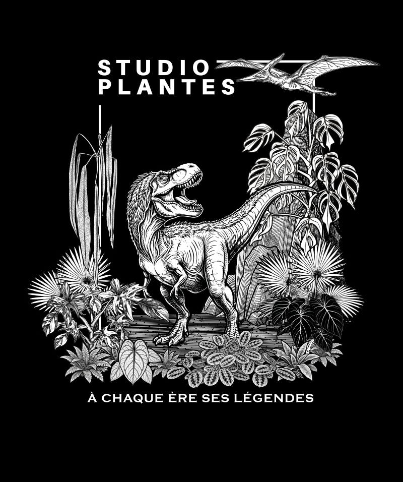 Tshirt Studio Plantes - Édition limitée Dinosaures