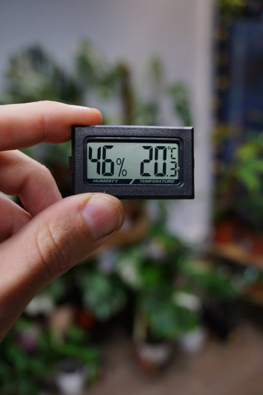 Mini-Temperatur-/Feuchtigkeitsstation