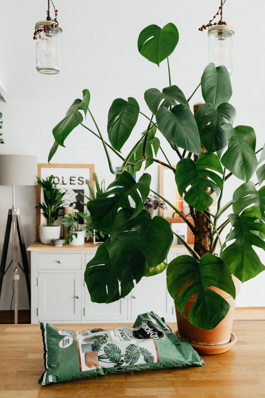 Accessoires - Terreaux