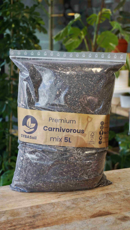 terreau substrat sybotanica france revendeur grossiste france studio plantes d'intérieur rares soil strasbourg rempotage conseils plantes carnivores