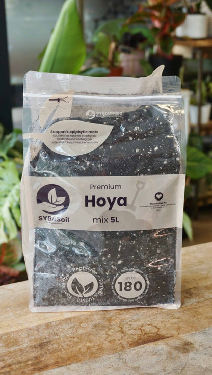 terreau substrat sybotanica france revendeur grossiste france studio plantes d'intérieur rares soil strasbourg rempotage conseils hoya