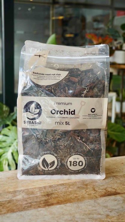 terreau substrat sybotanica france revendeur grossiste france studio plantes d'intérieur rares soil strasbourg rempotage conseils orchid orchidées