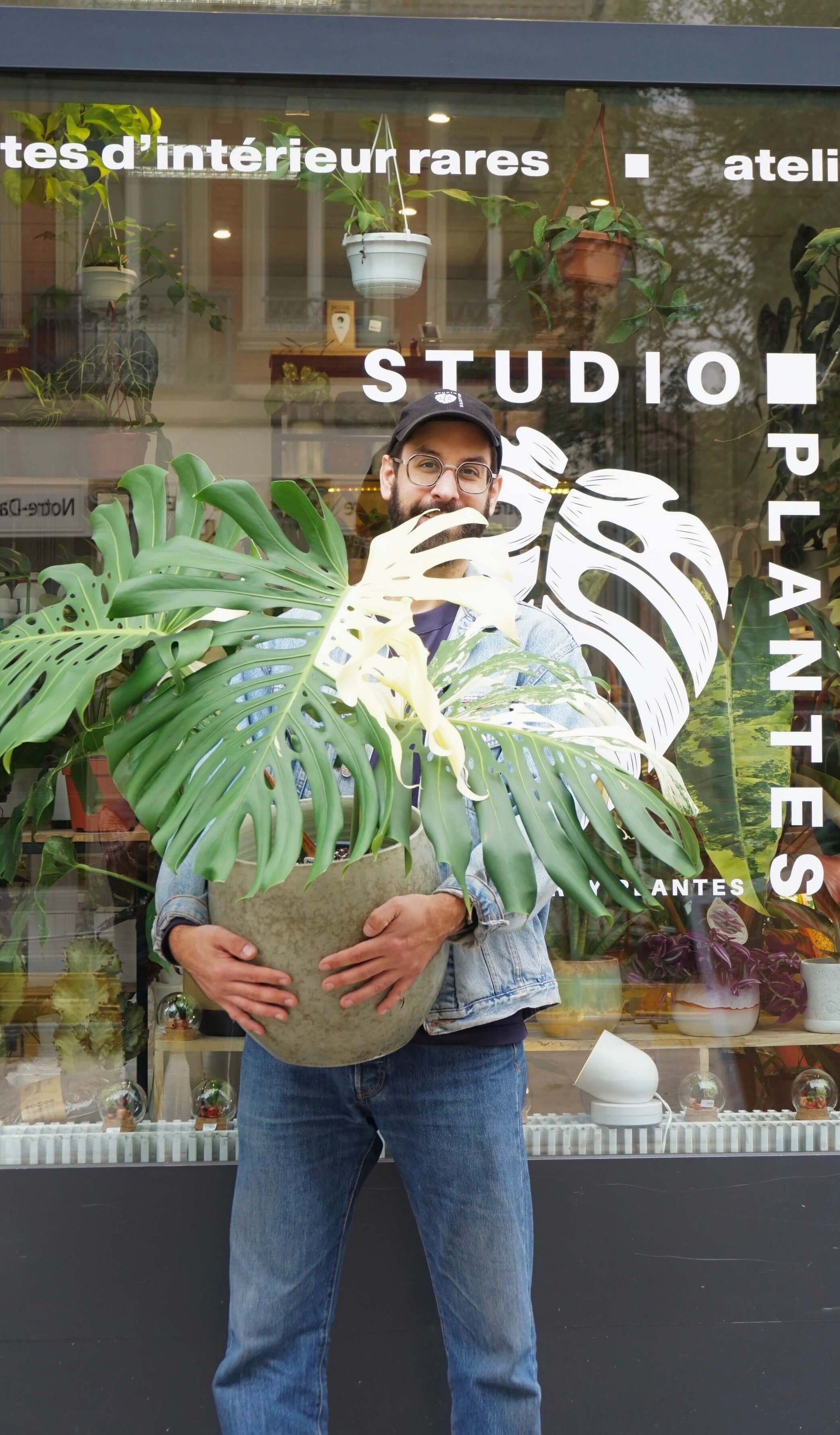 Monstera Deliciosa Albo Variegata Large Form studio plantes rares jungle jardinerie strasbourg rare plant shop online pflanzen