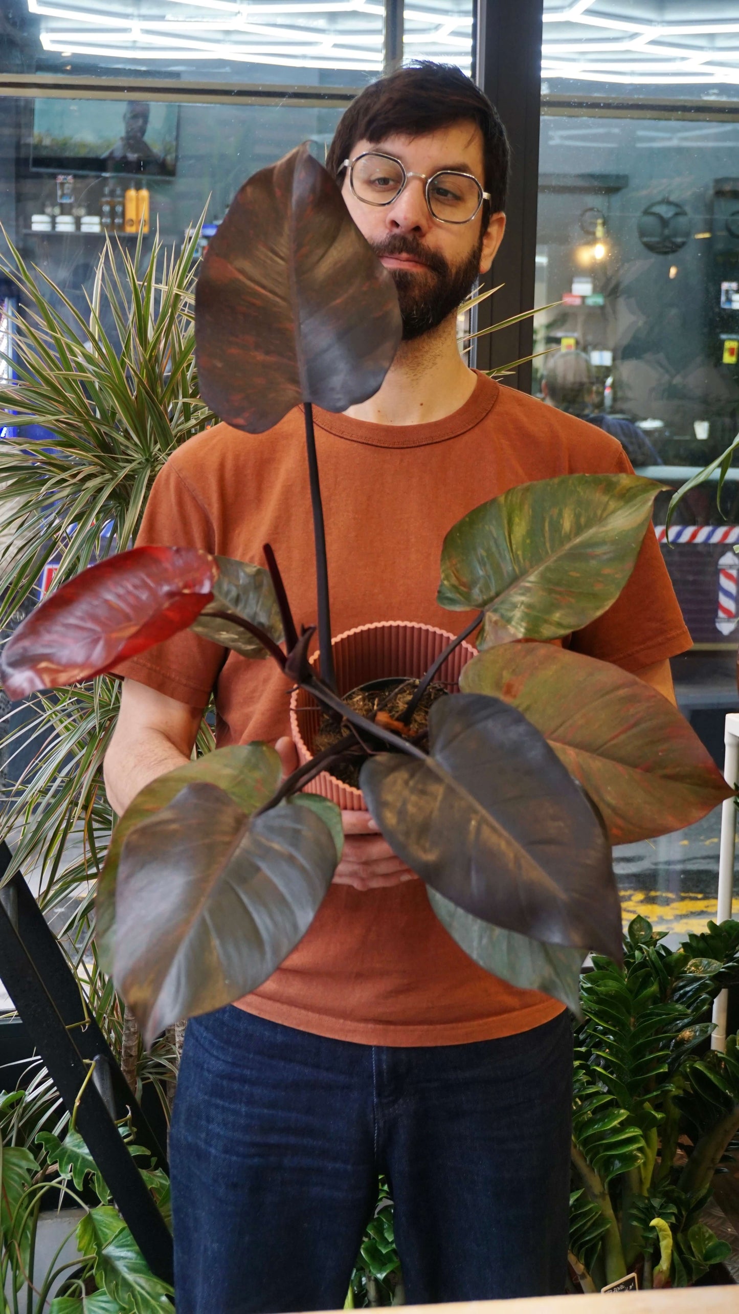 Philodendron Orange Princess studio plantes rares jungle jardinerie strasbourg rare plant shop online pflanzen