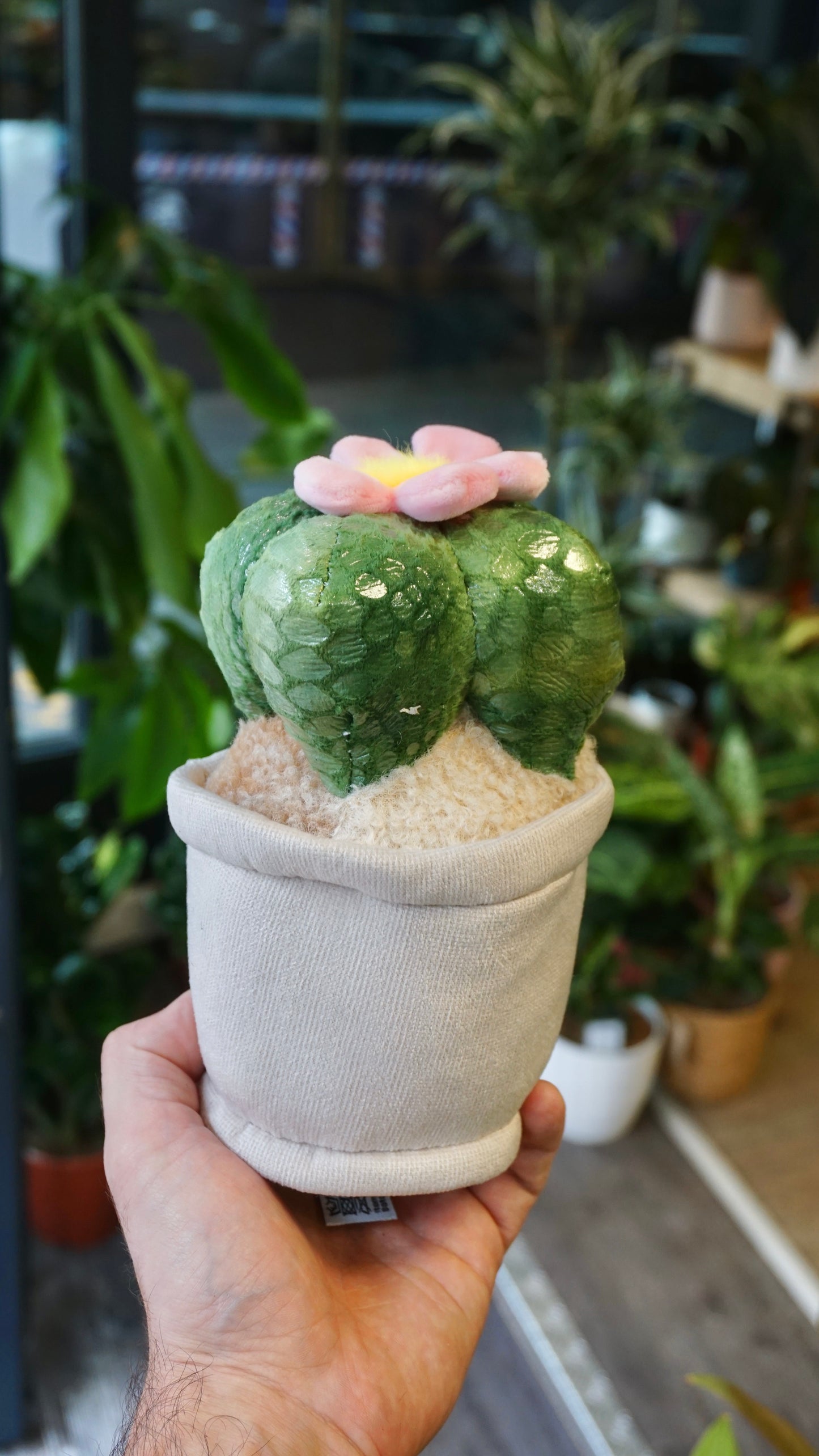 Peluche Plante (plusieurs options)