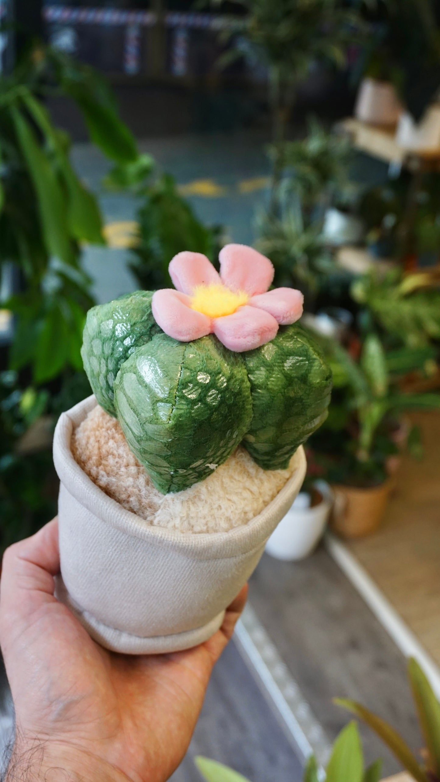 Peluche Plante (plusieurs options)