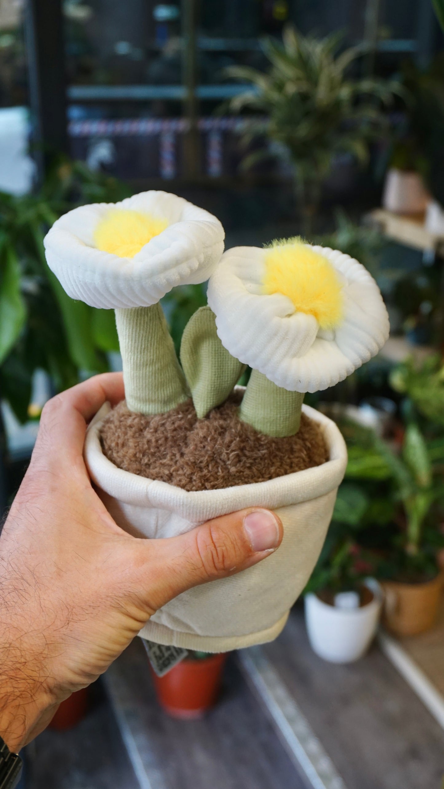 Peluche Plante (plusieurs options)