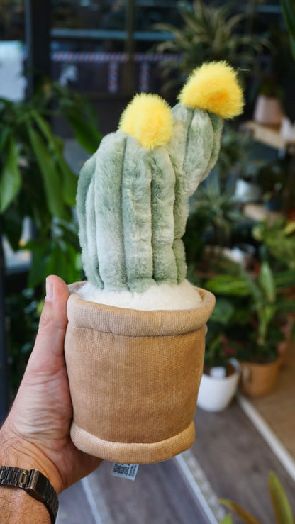 Peluche Plante (plusieurs options)