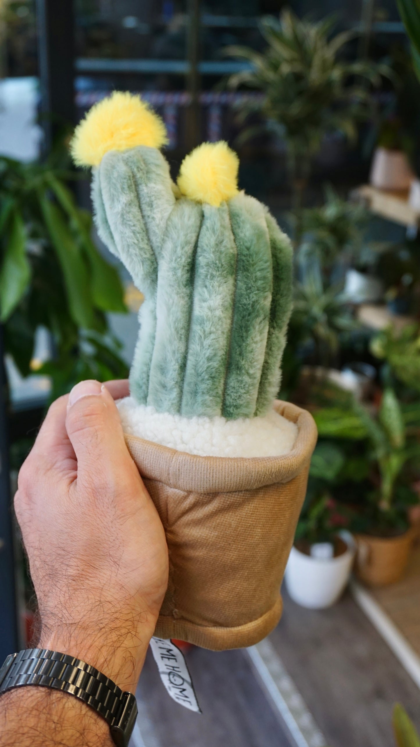 Peluche Plante (plusieurs options)