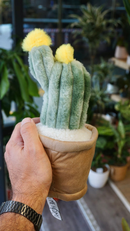 Peluche Plante (plusieurs options)