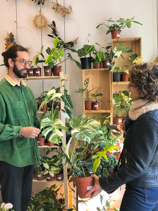 Workshop „So pflegen Sie Ihre Pflanzen richtig“
