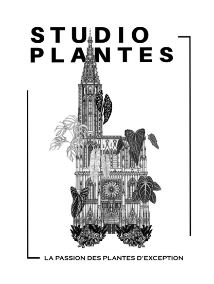 Tshirt Studio Plantes - Édition limitée Strasbourg