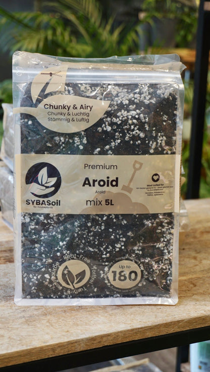 terreau substrat sybotanica france revendeur grossiste france studio plantes rares soil strasbourg rempotage conseils aroid