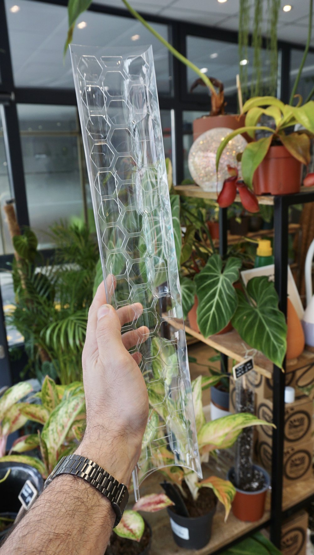 tuteur sphaigne plantscraper studio plantes rares grimpantes monstera strasbourg moss pole sphagnum