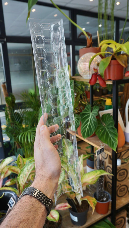 tuteur sphaigne plantscraper studio plantes rares grimpantes monstera strasbourg moss pole sphagnum