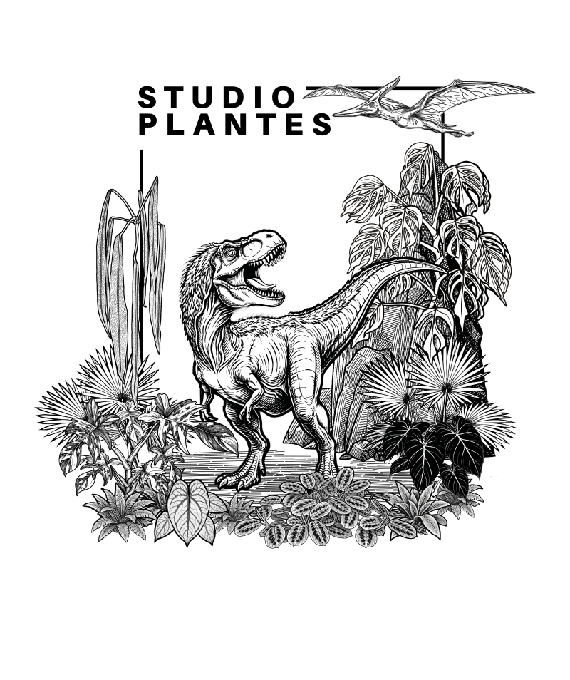 Tshirt Studio Plantes - Édition limitée Dinosaures