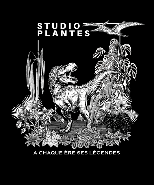 Tshirt Studio Plantes - Édition limitée Dinosaures