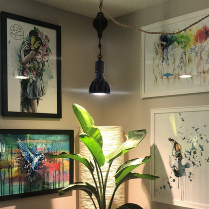 15W LED Hanging Horticultural Lamp