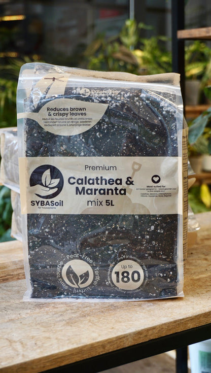 terreau substrat sybotanica france revendeur grossiste france studio plantes d'intérieur rares soil strasbourg rempotage conseils calathea maranta