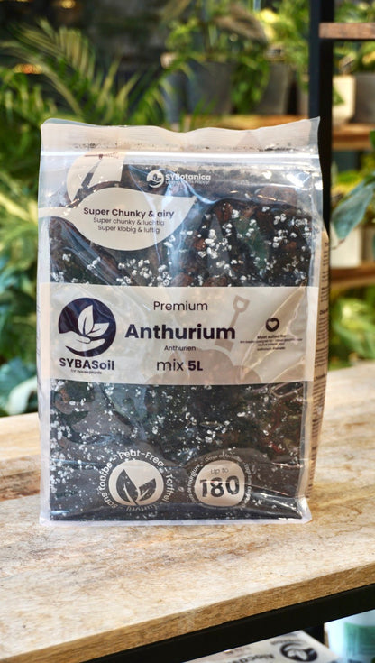 terreau substrat sybotanica france revendeur grossiste france studio plantes rares soil strasbourg rempotage conseils anthurium